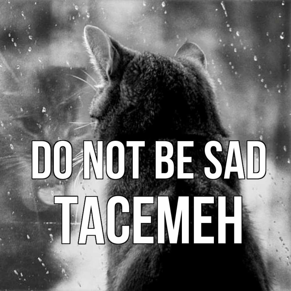 Greetings card с именем, ТАСЕМЕН Do not be sad отражение кота 1 Greetings with text for free download 