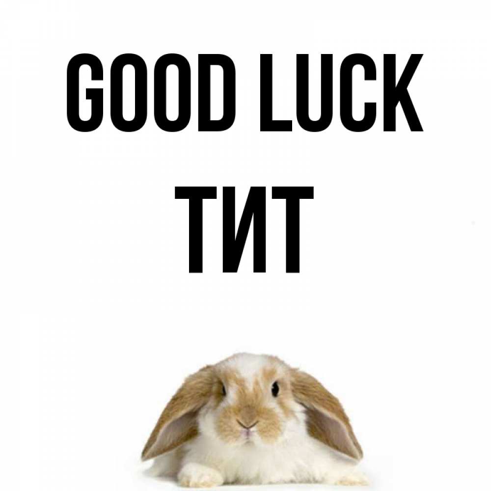 Greetings card с именем, Тит Good luck открытки с произвольным текстом который можно вставить в открытку и создать ее самостоятельно бесплатно онлайн Greetings with text for free download 
