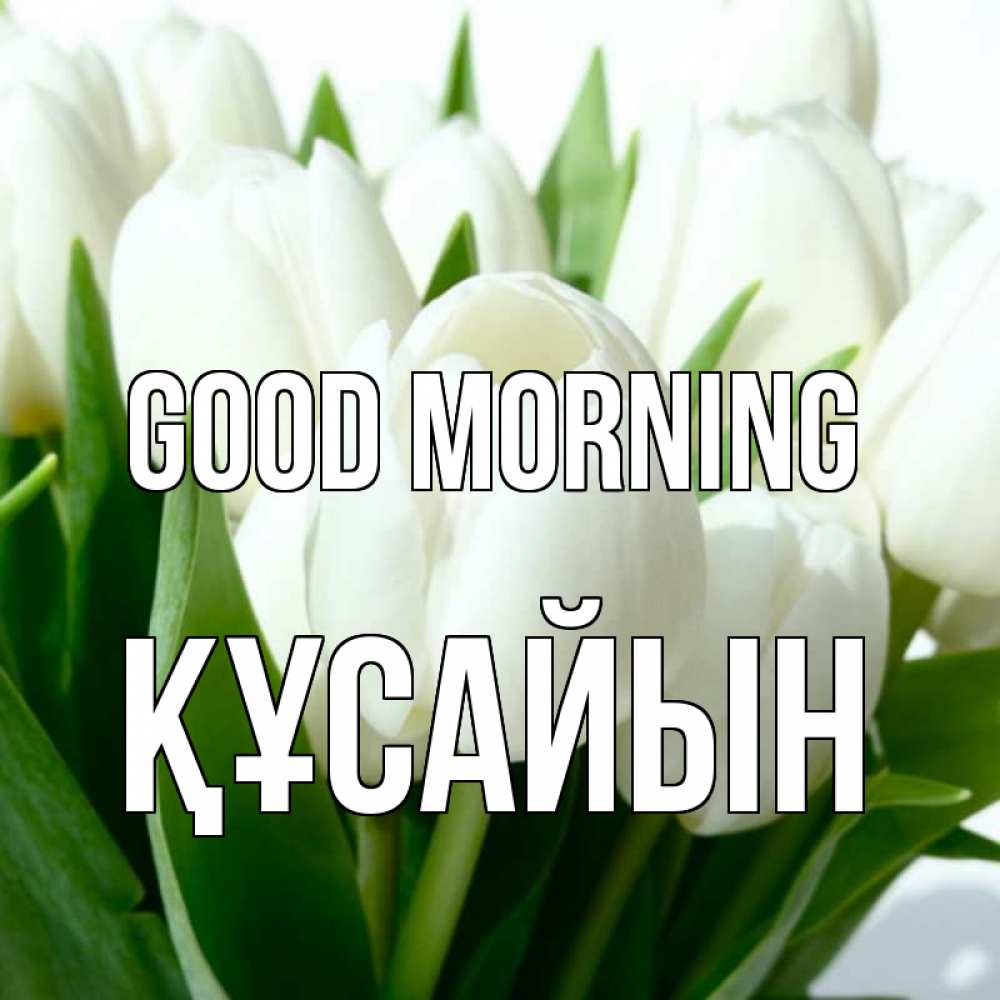 Greetings card с именем, ҚҰСАЙЫН Good morning открытки на каждый день по именам Greetings with text for free download 