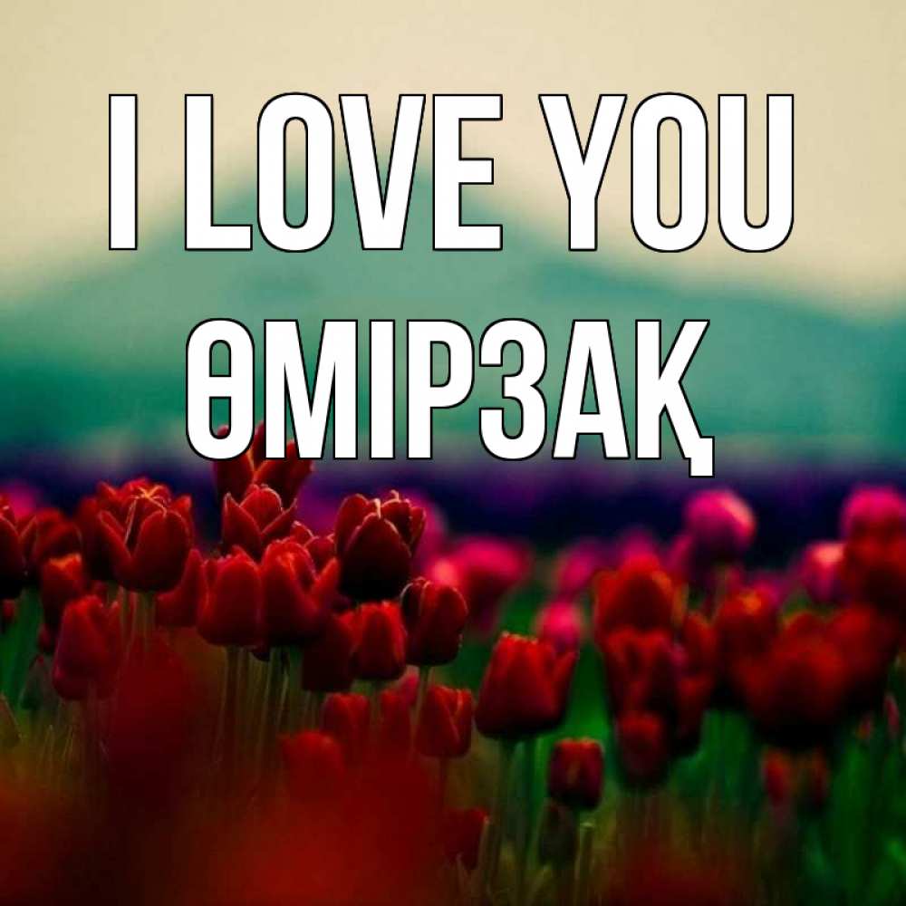 Greetings card с именем, ӨМІРЗАҚ I love you тюльпаны 4 Greetings with text for free download 