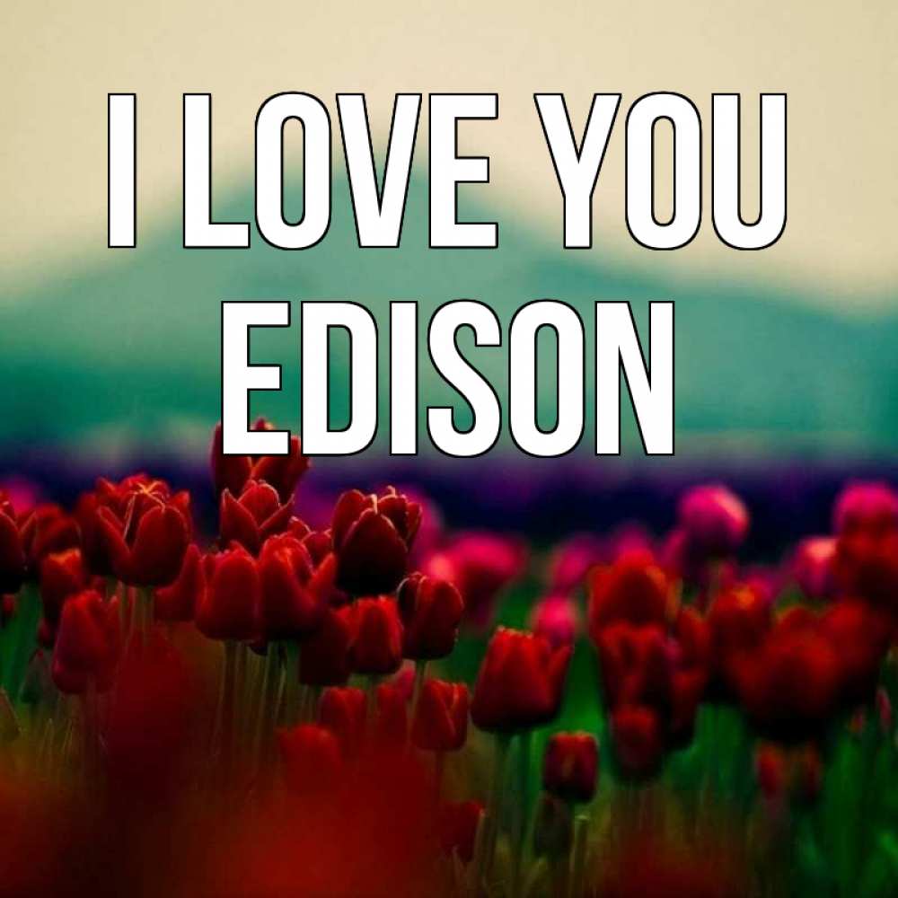 Greetings card с именем, Edison I love you тюльпаны 4 Greetings with text for free download 