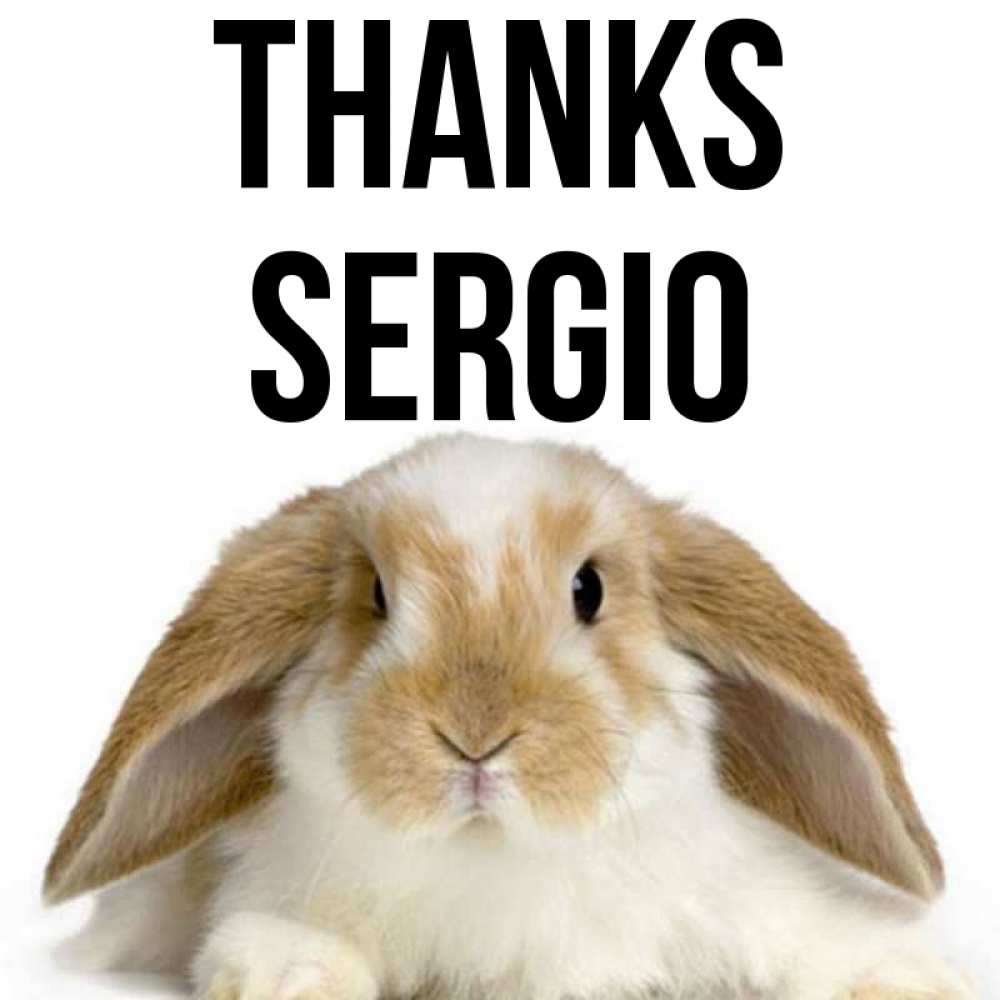 Greetings card с именем, Sergio Thanks коричнево белый заяц Greetings with text for free download 