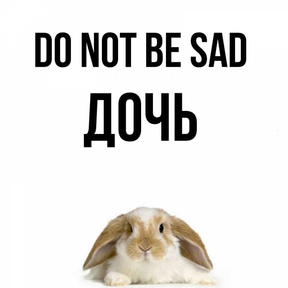 Greetings card с именем, Дочь Do not be sad коричнево белый заяц с большими ушками Greetings with text for free download 