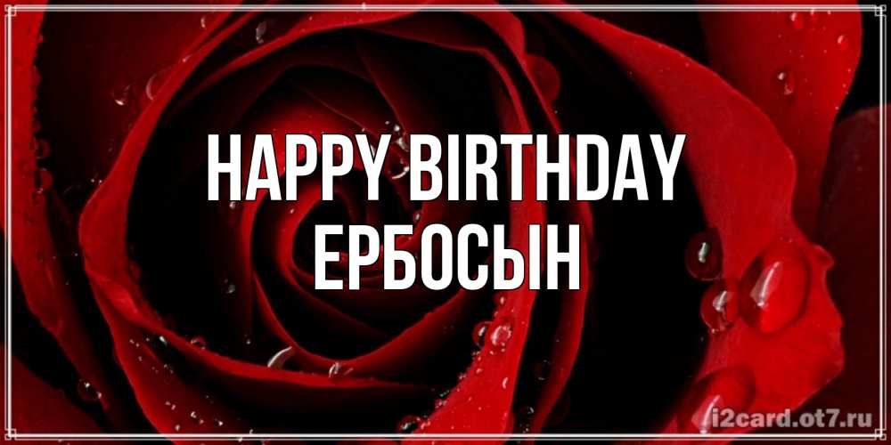 Greetings card с именем, Ербосын Happy Birthday крупная бордовая роза Greetings with text for free download 