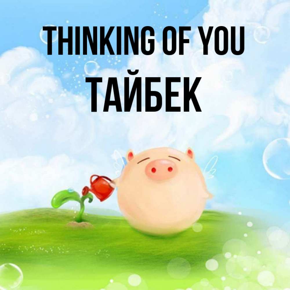 Greetings card с именем, ТАЙБЕК Thinking of you позитивная свинюшка Greetings with text for free download 