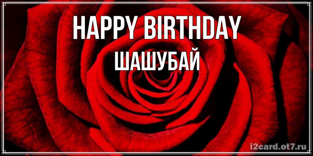 Greetings card с именем, ШАШУБАЙ Happy Birthday алая роза Greetings with text for free download 