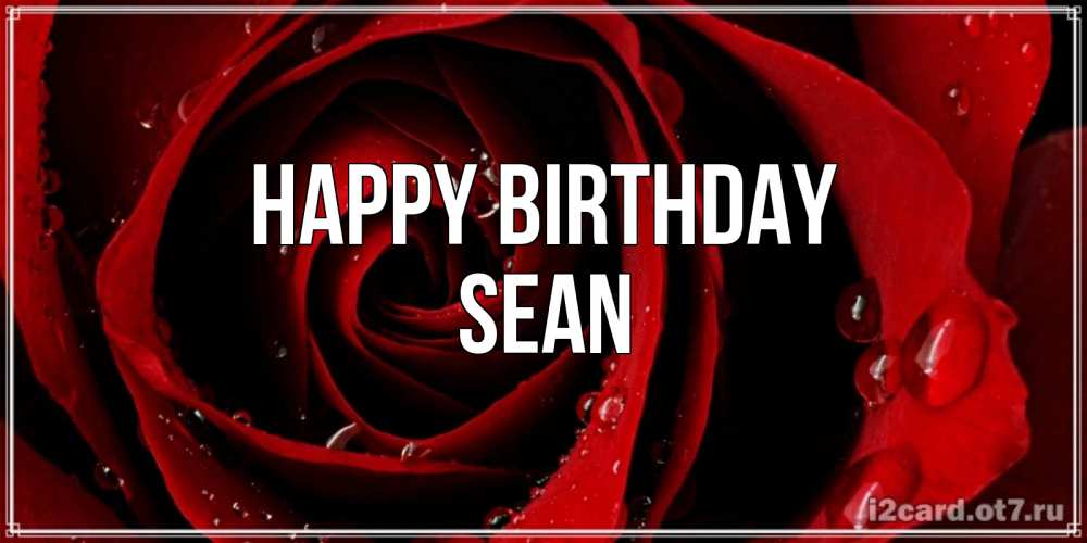 Greetings card с именем, Sean Happy Birthday крупная бордовая роза Greetings with text for free download 