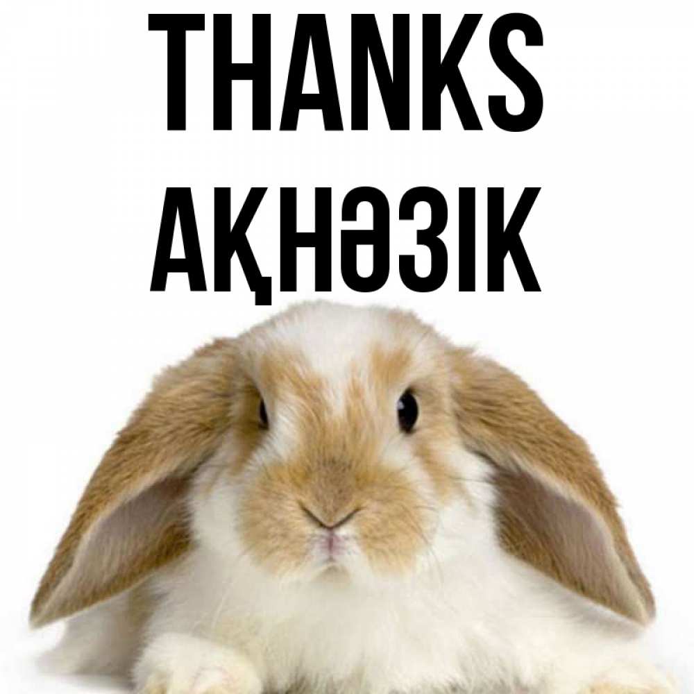 Greetings card с именем, АҚНӘЗІК Thanks коричнево белый заяц Greetings with text for free download 