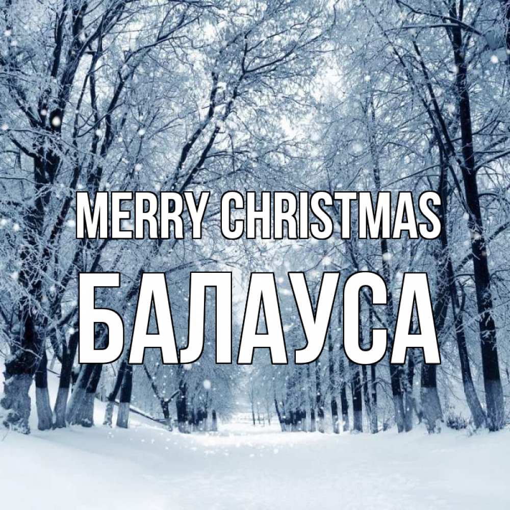 Greetings card с именем, БАЛАУСА Merry Christmas снег, лес, парк Greetings with text for free download 
