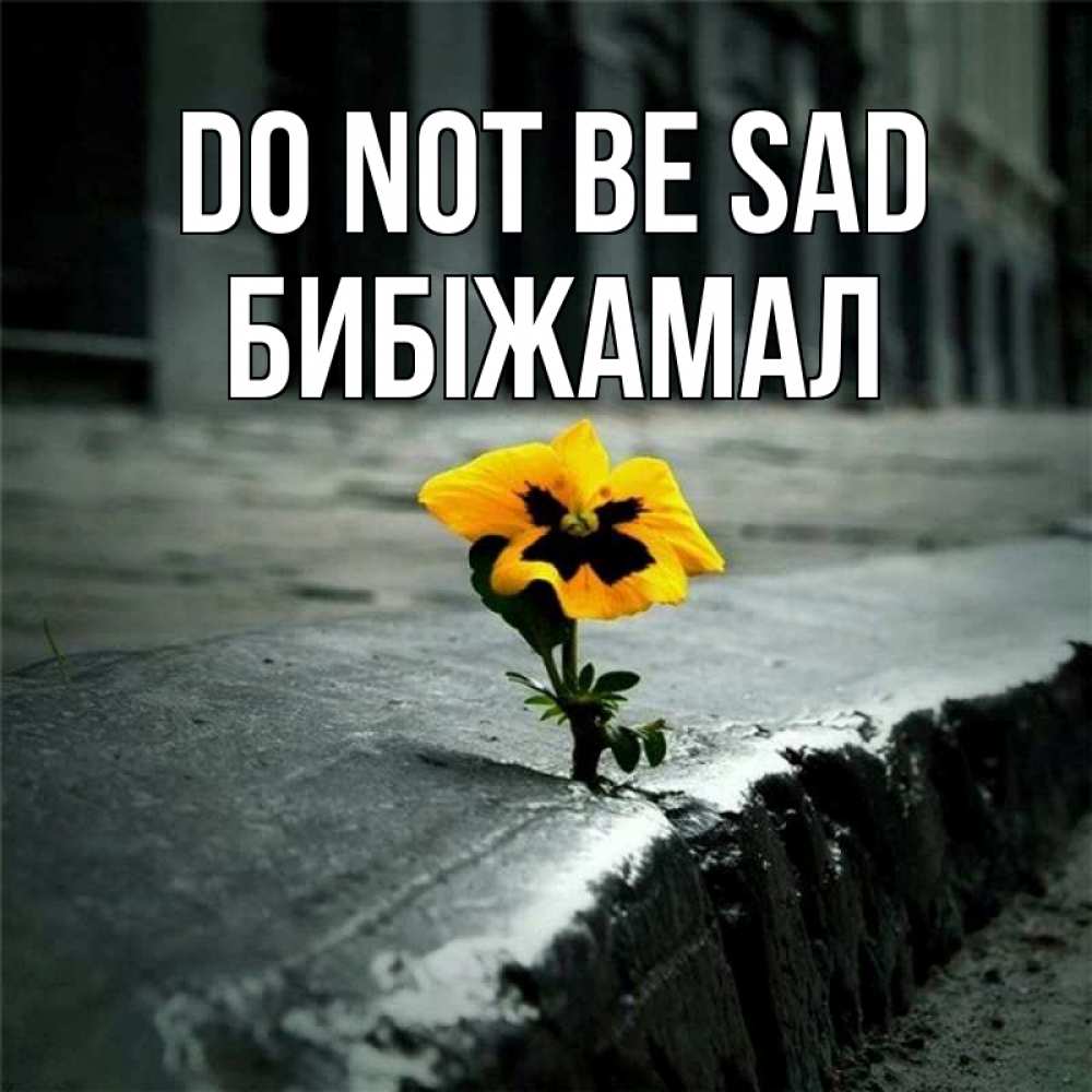 Greetings card с именем, БИБІЖАМАЛ Do not be sad не сдавайся Greetings with text for free download 