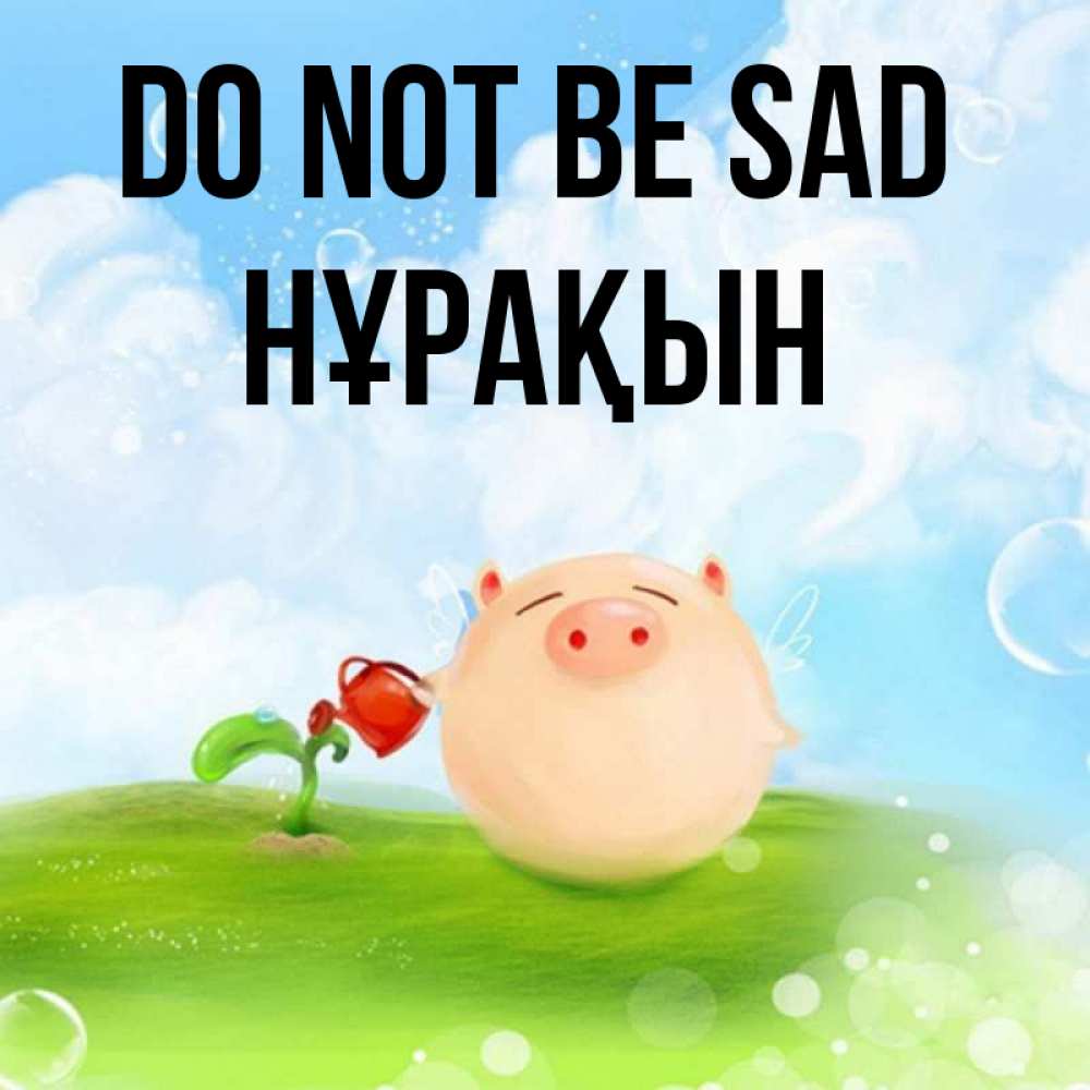 Greetings card с именем, НҰРАҚЫН Do not be sad поливает цветок порося Greetings with text for free download 