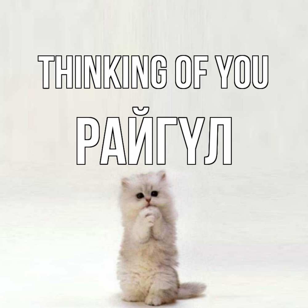 Greetings card с именем, РАЙГҮЛ Thinking of you кот стоит на задних лапах Greetings with text for free download 