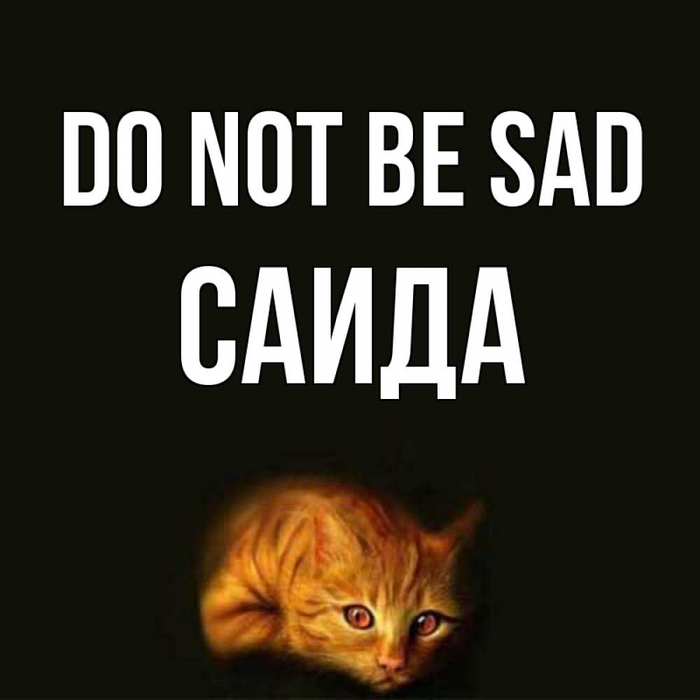 Greetings card с именем, Саида Do not be sad лежащий кот в темноте Greetings with text for free download 