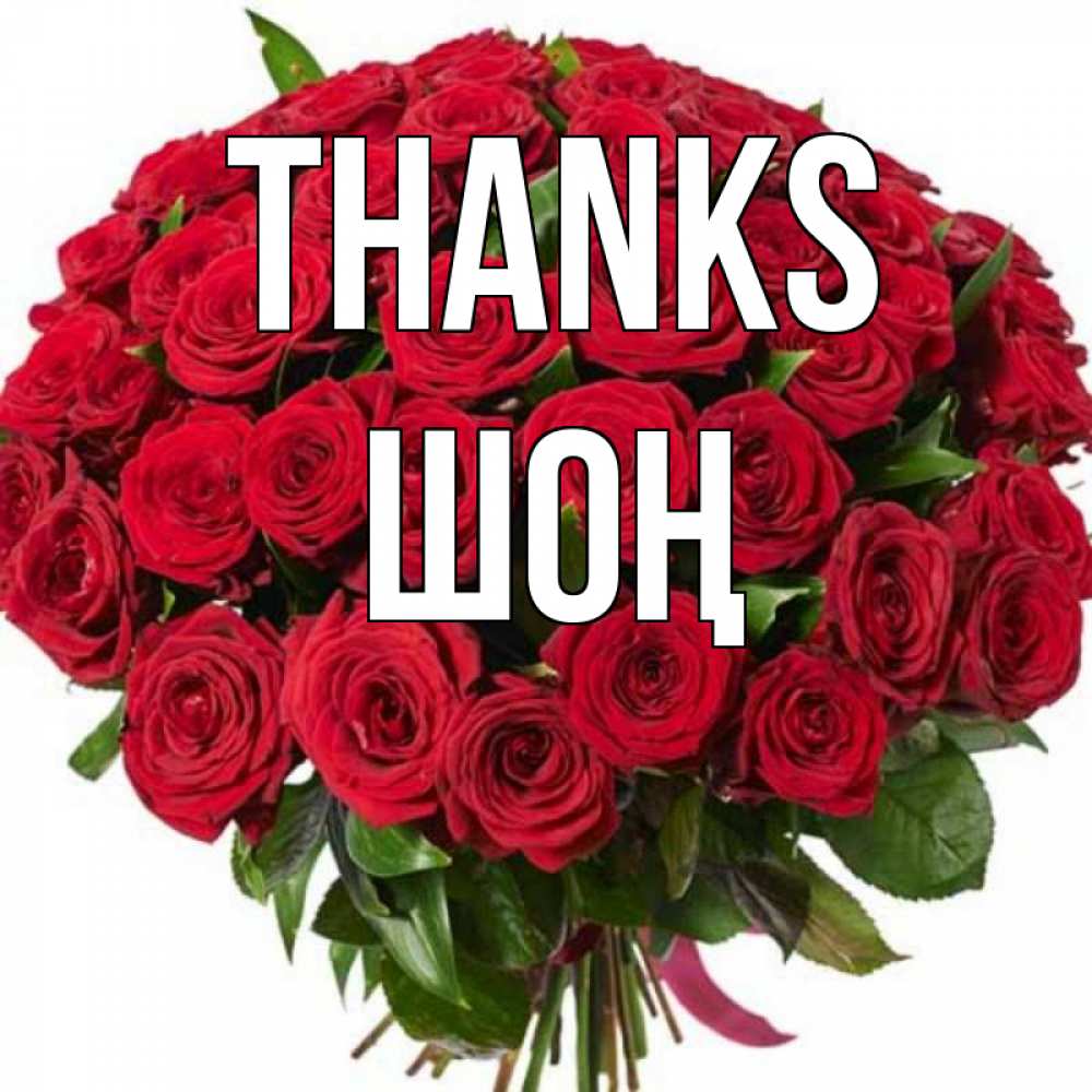 Greetings card с именем, ШОҢ Thanks букет красных роз Greetings with text for free download 