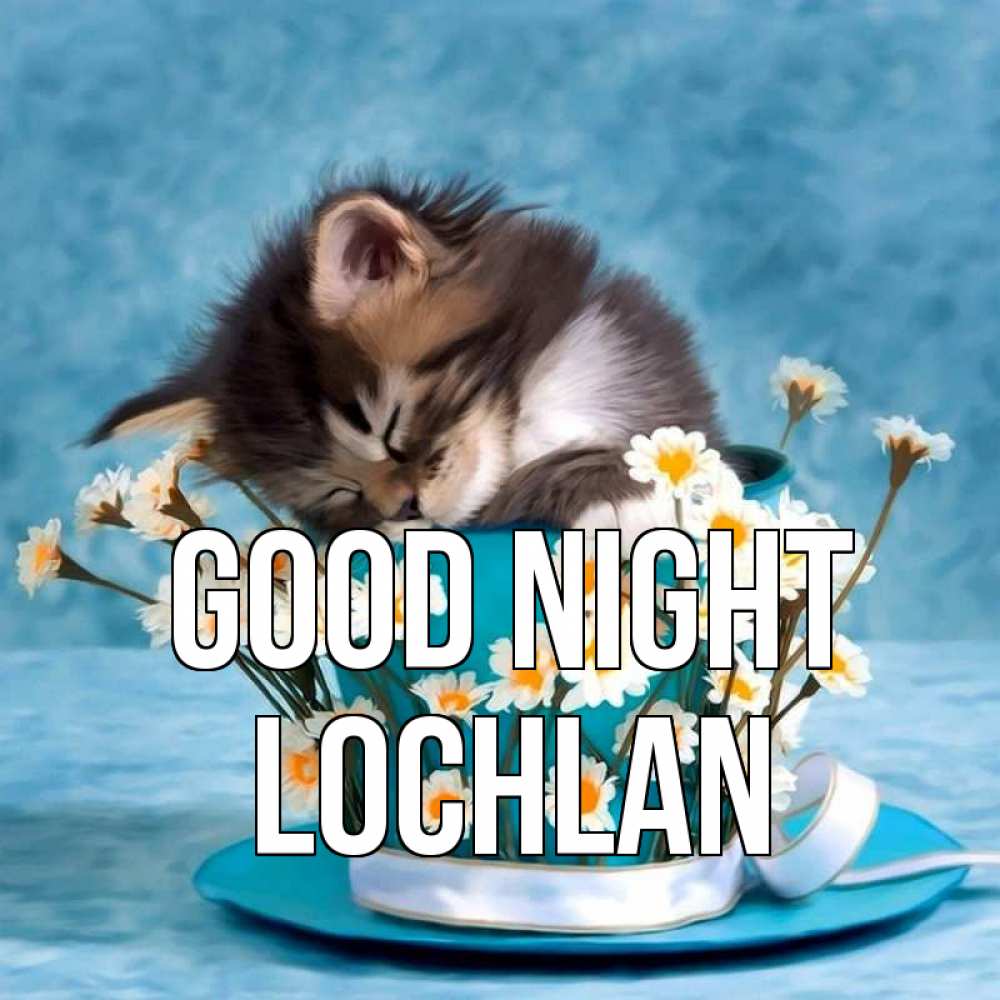 Greetings card с именем, Lochlan Good night котенок спит в кружке с блюдцем Greetings with text for free download 