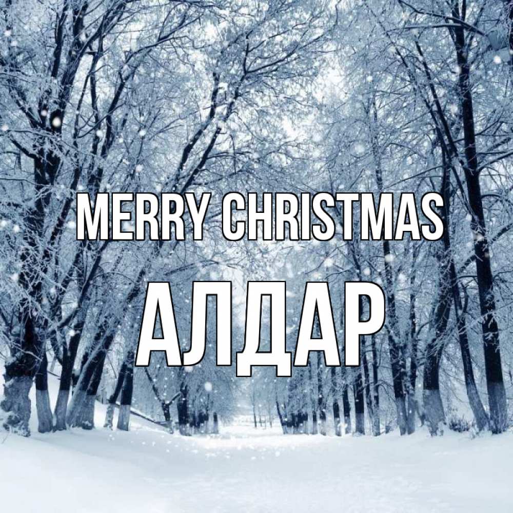 Greetings card с именем, Алдар Merry Christmas снег, лес, парк Greetings with text for free download 
