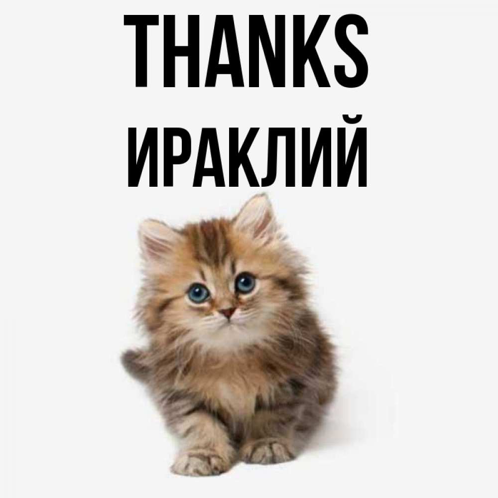 Greetings card с именем, Ираклий Thanks пушистый котик Greetings with text for free download 