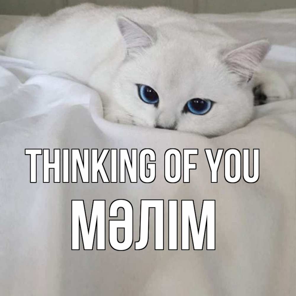 Greetings card с именем, МӘЛІМ Thinking of you я очень по тебе скучаю и тоскую Greetings with text for free download 