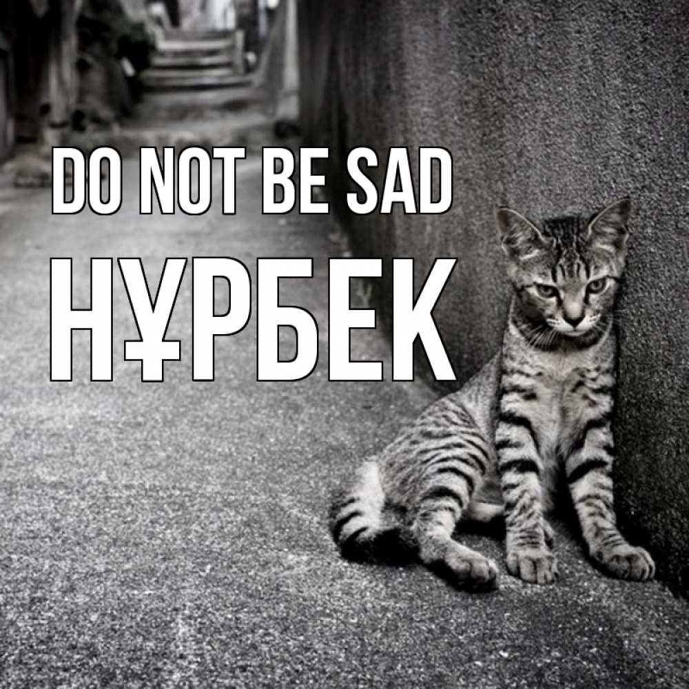 Greetings card с именем, НҰРБЕК Do not be sad скучающий котик Greetings with text for free download 