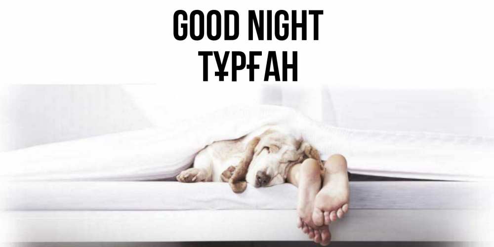 Greetings card с именем, ТҰРҒАН Good night кровать с собакой пожелание сладких снов и спокойной ночи Greetings with text for free download 
