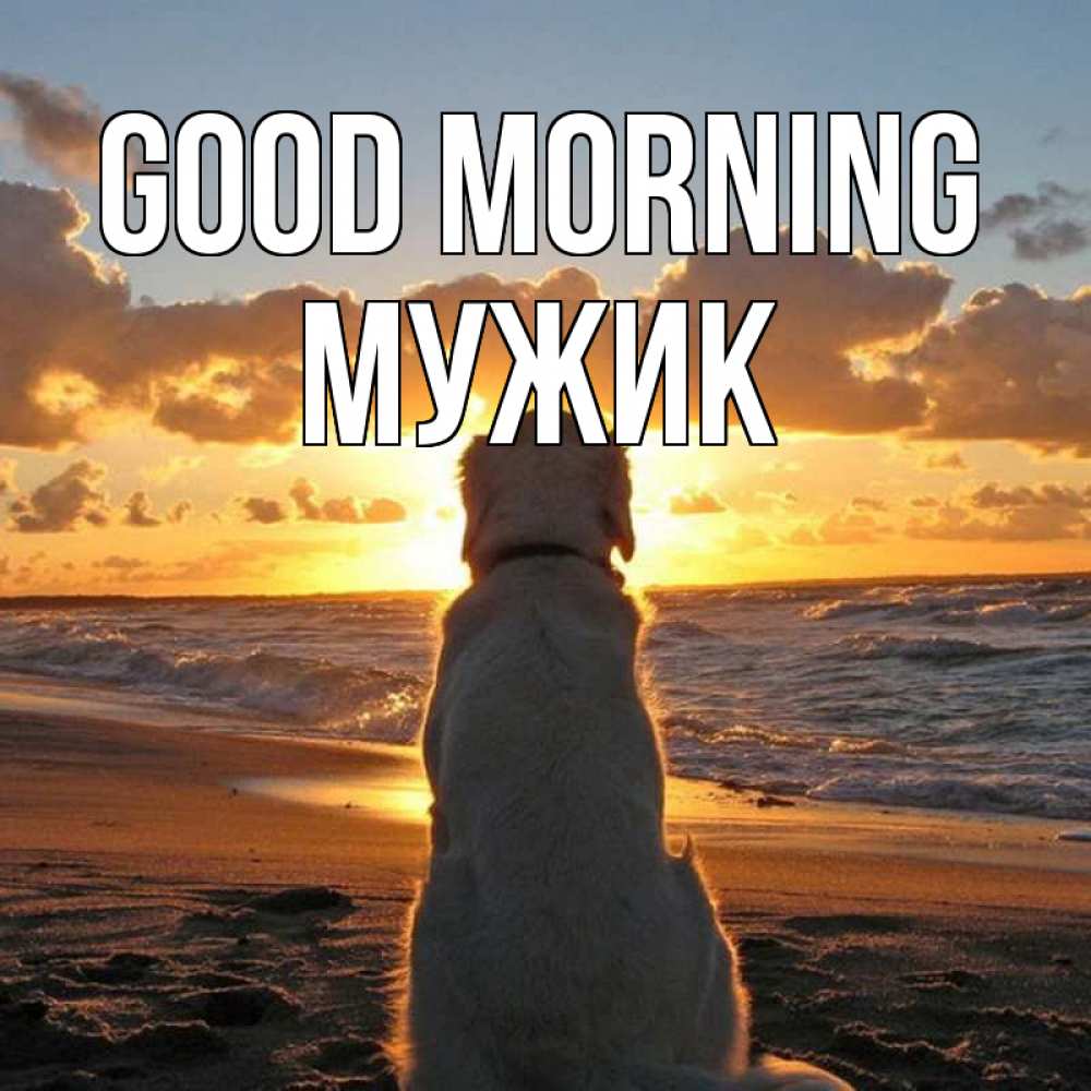 Greetings card с именем, Мужик Good morning восход солнца Greetings with text for free download 