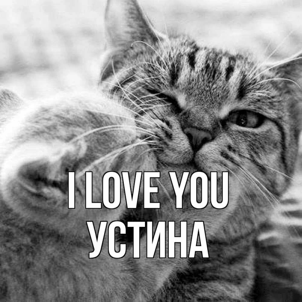 Greetings card с именем, Устина I love you коты Greetings with text for free download 
