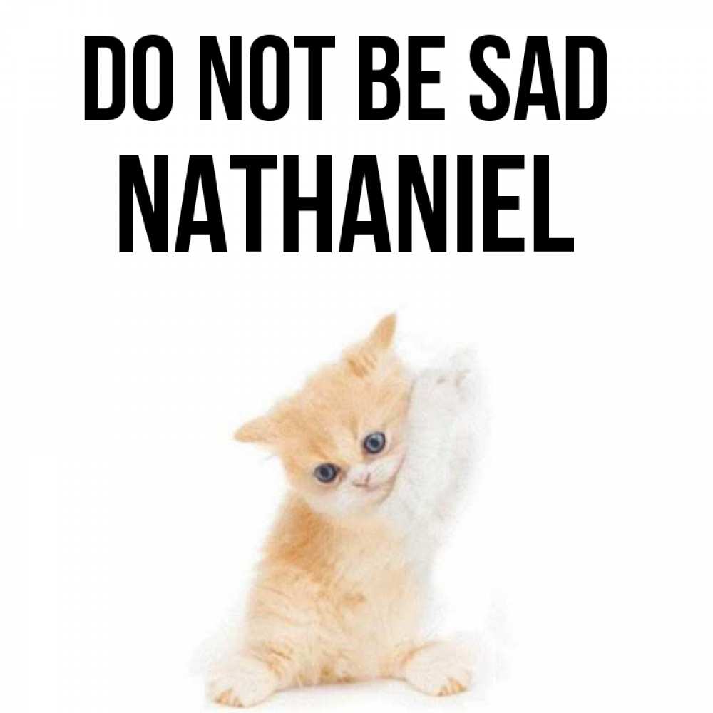 Greetings card с именем, Nathaniel Do not be sad просящий кот Greetings with text for free download 