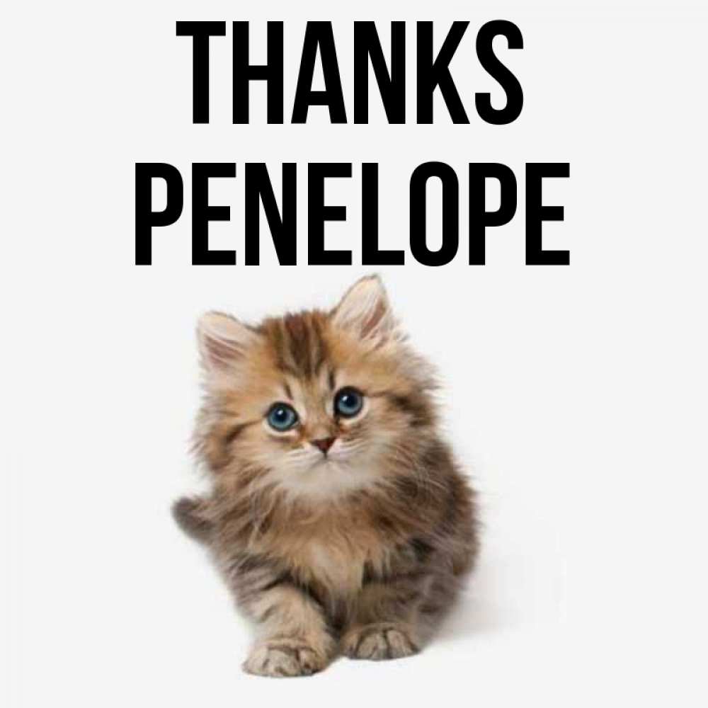 Greetings card с именем, Penelope Thanks пушистый котик Greetings with text for free download 