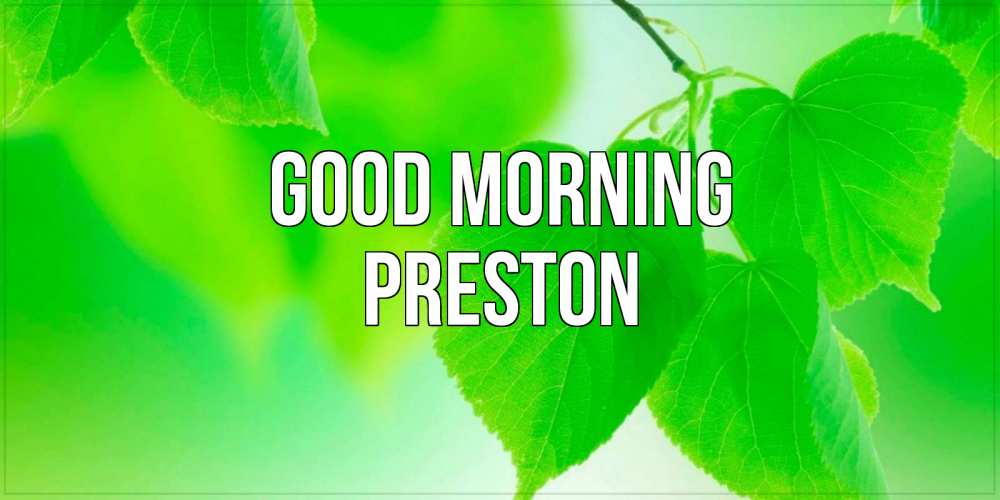 Greetings card с именем, Preston Good morning доброе утро с березовыми листьями Greetings with text for free download 