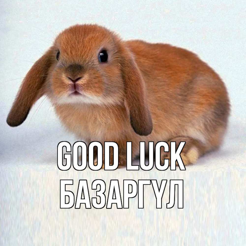 Greetings card с именем, БАЗАРГҮЛ Good luck вставить текст в открытку по выбору Greetings with text for free download 