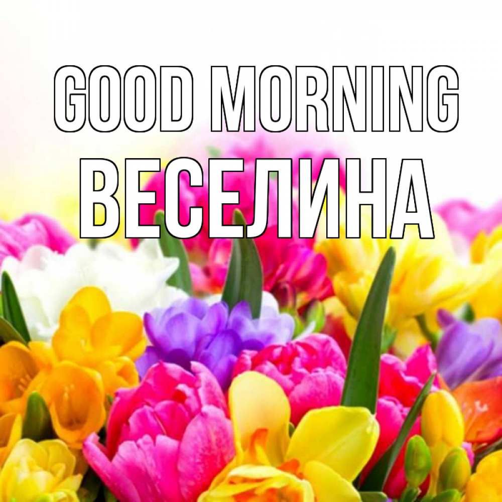 Greetings card с именем, Веселина Good morning создать открытку со свое подписью Greetings with text for free download 