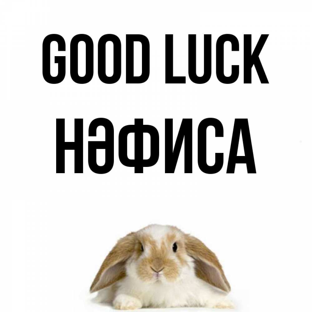 Greetings card с именем, НӘФИСА Good luck открытки с произвольным текстом который можно вставить в открытку и создать ее самостоятельно бесплатно онлайн Greetings with text for free download 
