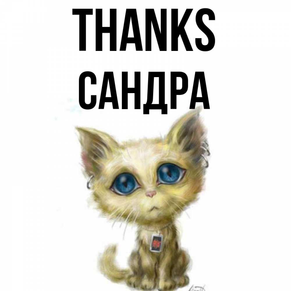 Greetings card с именем, Сандра Thanks рисованный кот благодарит вас Greetings with text for free download 