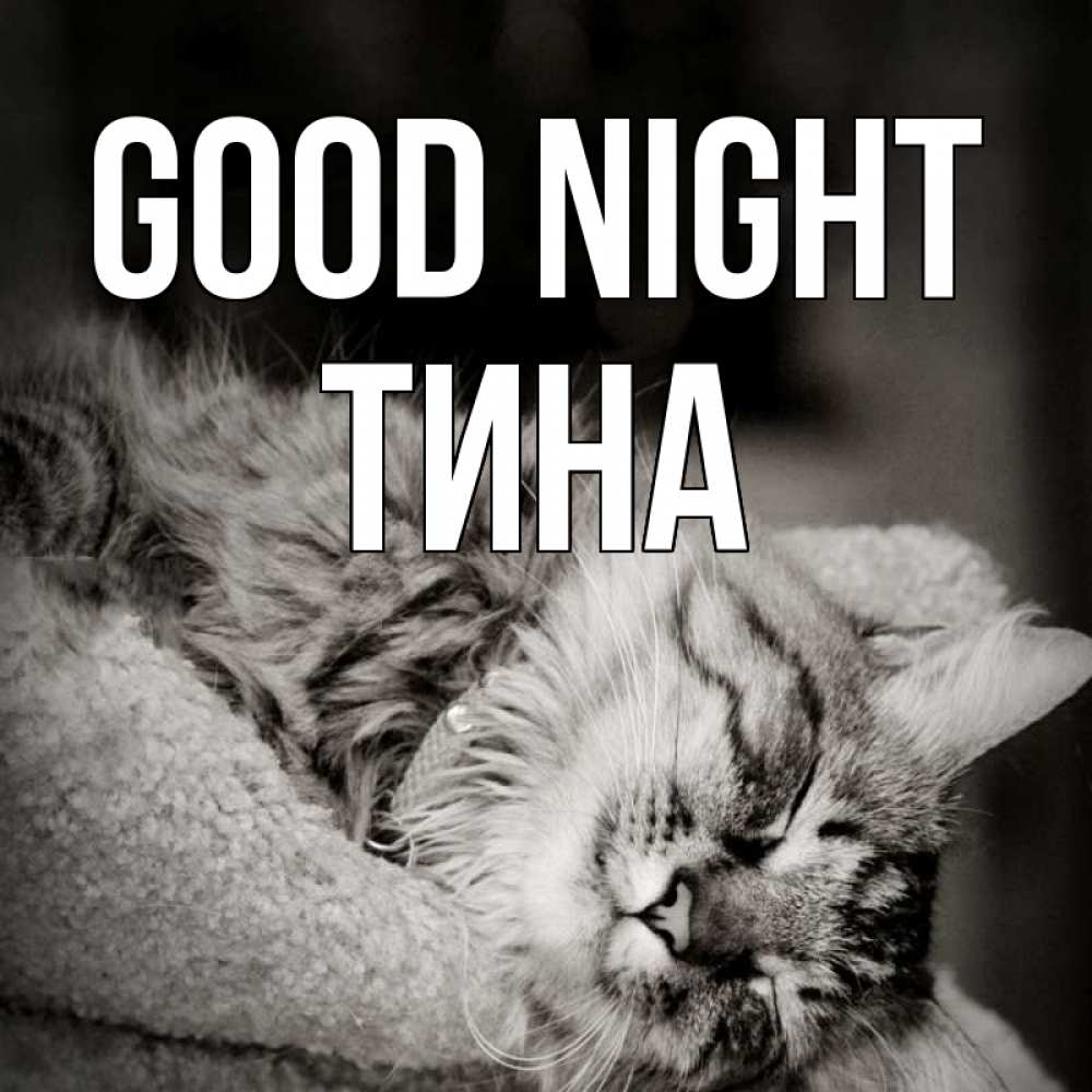 Greetings card с именем, Тина Good night котярик пушистый Greetings with text for free download 