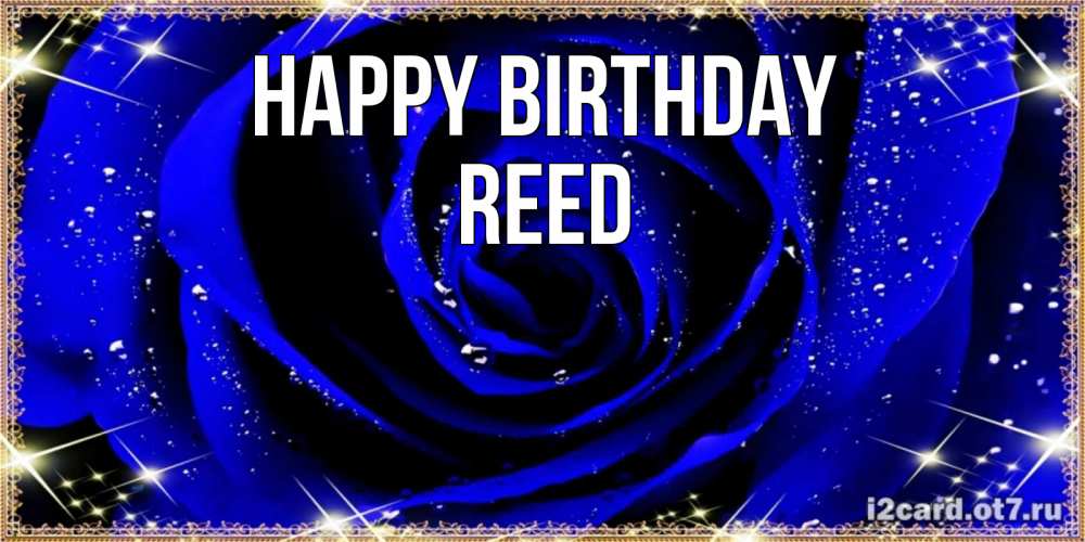 Greetings card с именем, Reed Happy Birthday голубые цветы в росе Greetings with text for free download 