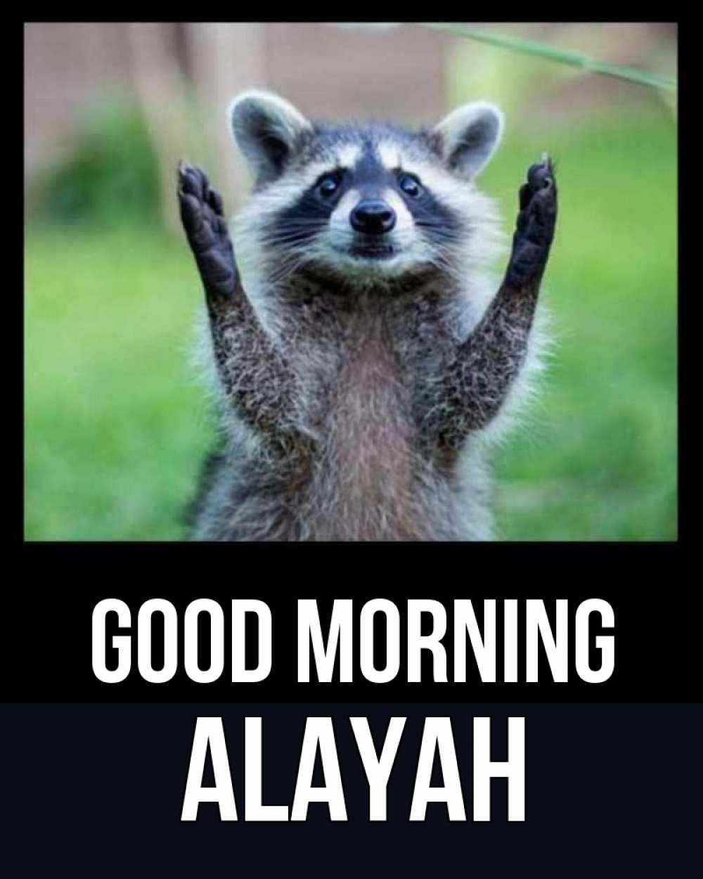 Greetings card с именем, Alayah Good morning хорошее настроение утречком Greetings with text for free download 