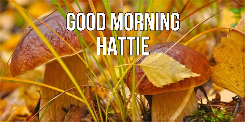Greetings card с именем, Hattie Good morning осенние грибы Greetings with text for free download 