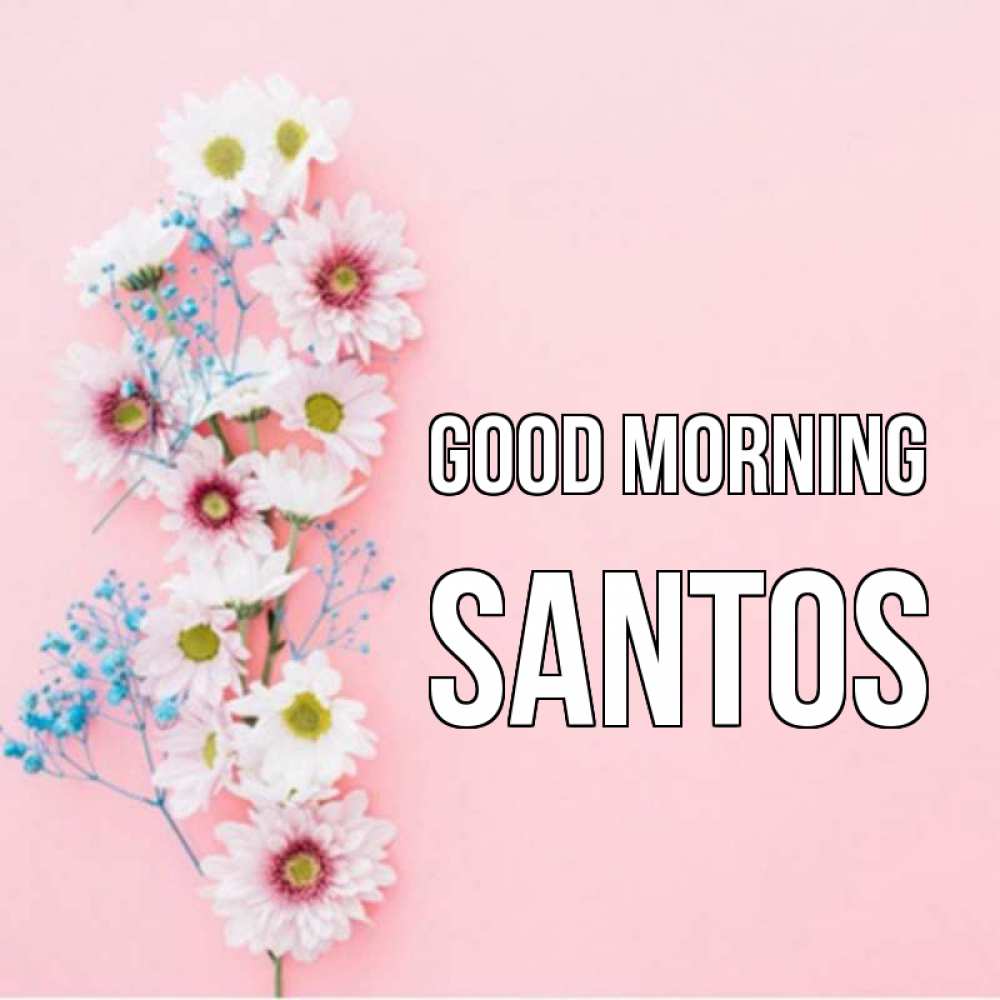 Greetings card с именем, Santos Good morning цветы с подписью Greetings with text for free download 