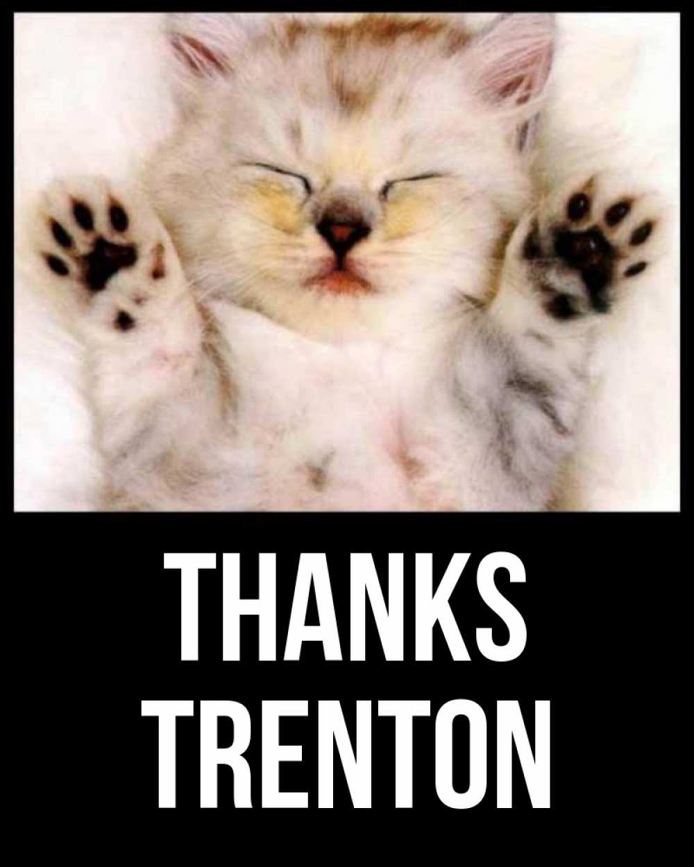 Greetings card с именем, Trenton Thanks маленький котенок Greetings with text for free download 