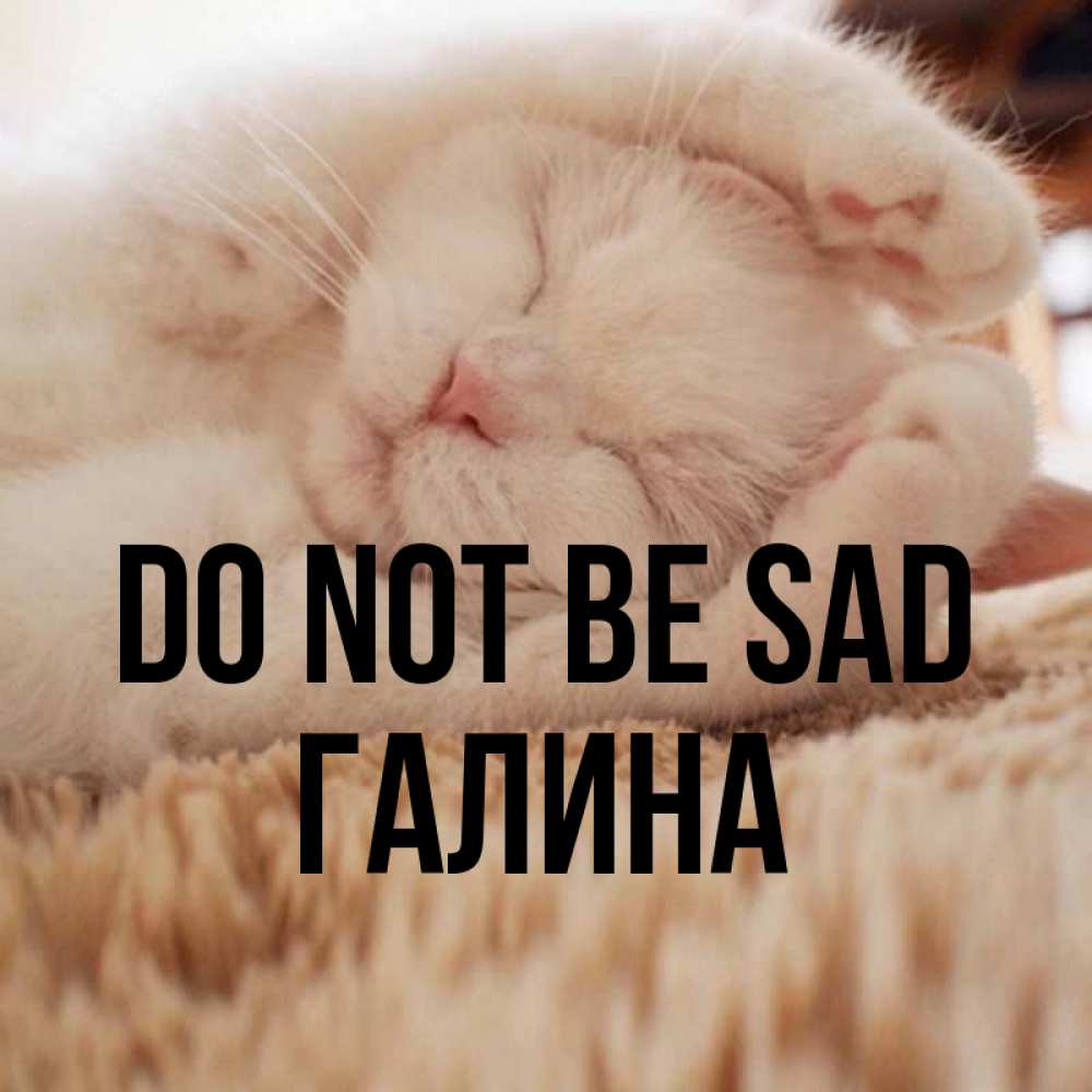 Greetings card с именем, Галина Do not be sad Котенок спит Greetings with text for free download 