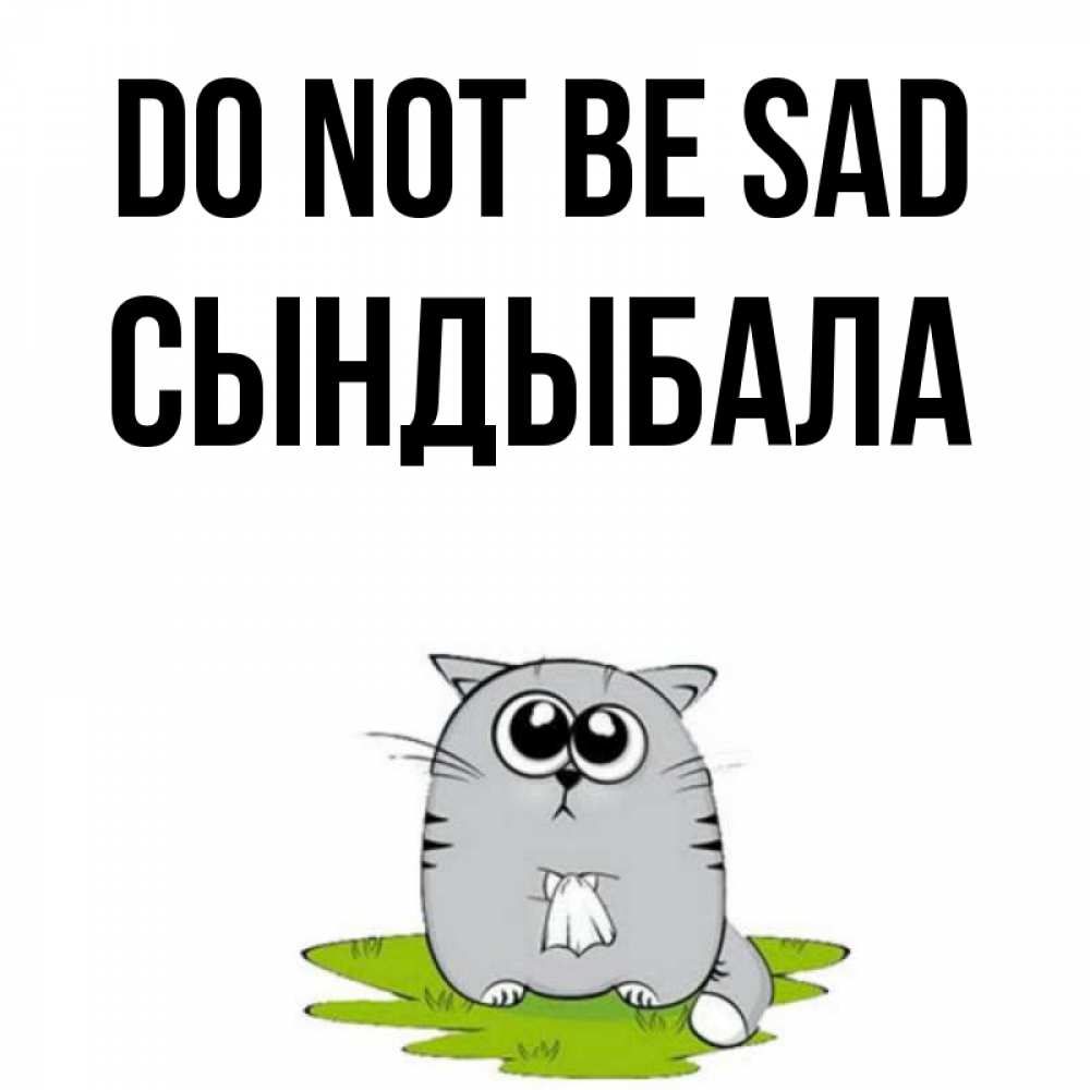 Greetings card с именем, СЫНДЫБАЛА Do not be sad грустный котяра Greetings with text for free download 