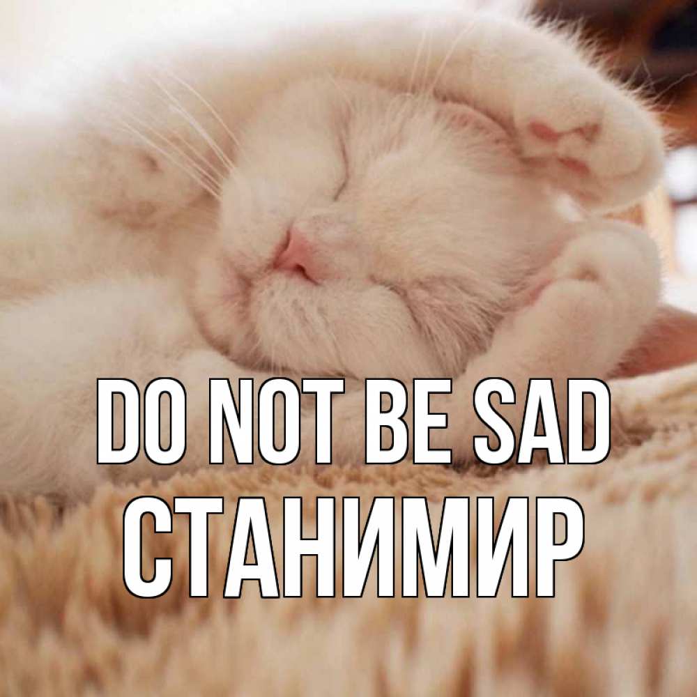 Greetings card с именем, Станимир Do not be sad белый кот Greetings with text for free download 