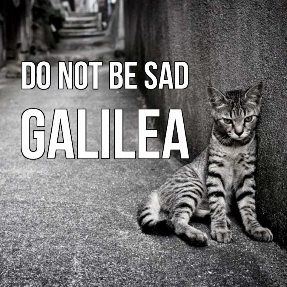 Greetings card с именем, Galilea Do not be sad скучающий котик Greetings with text for free download 