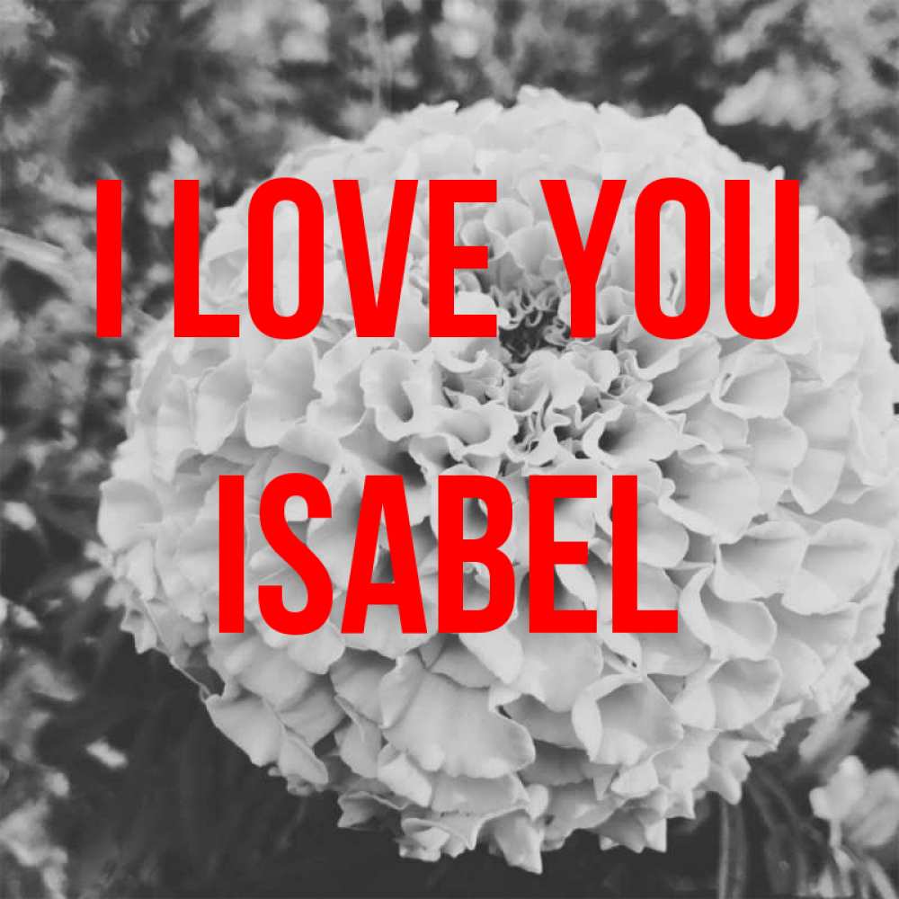 Greetings card с именем, Isabel I love you подпись Greetings with text for free download 