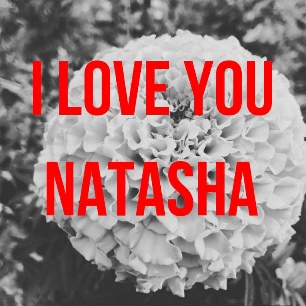 Greetings card с именем, Natasha I love you подпись Greetings with text for free download 