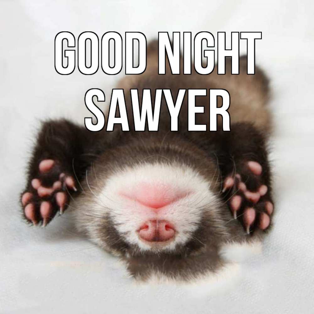 Greetings card с именем, Sawyer Good night зверек Greetings with text for free download 