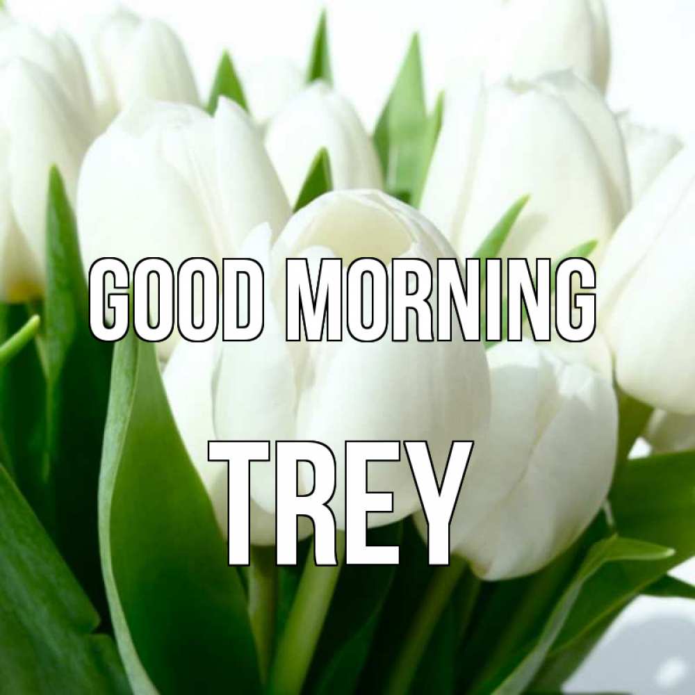 Greetings card с именем, Trey Good morning открытки на каждый день по именам Greetings with text for free download 