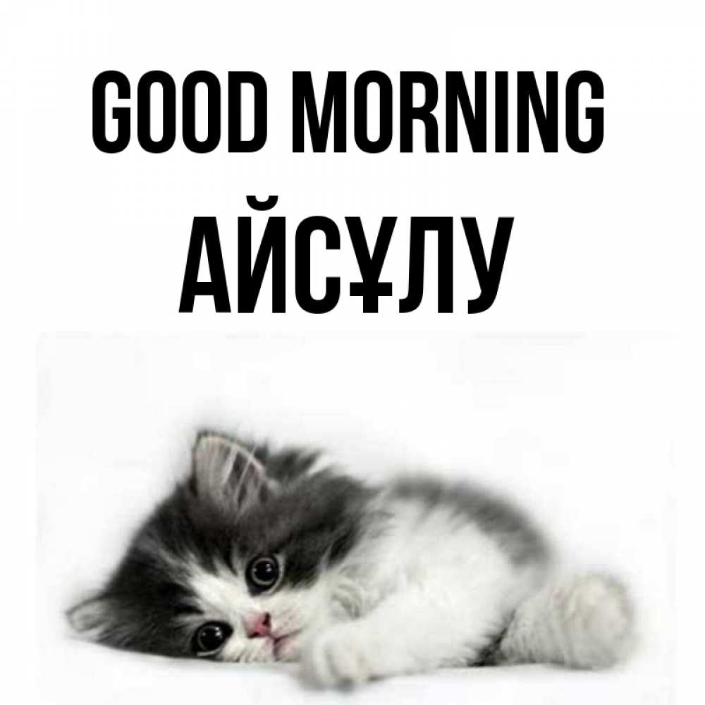 Greetings card с именем, АЙСҰЛУ Good morning кот лапки Greetings with text for free download 
