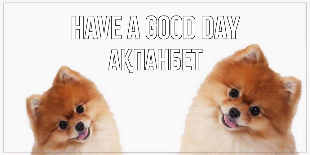 Greetings card с именем, Ақпанбет Have a good day собачки желают прекрасного дня Greetings with text for free download 