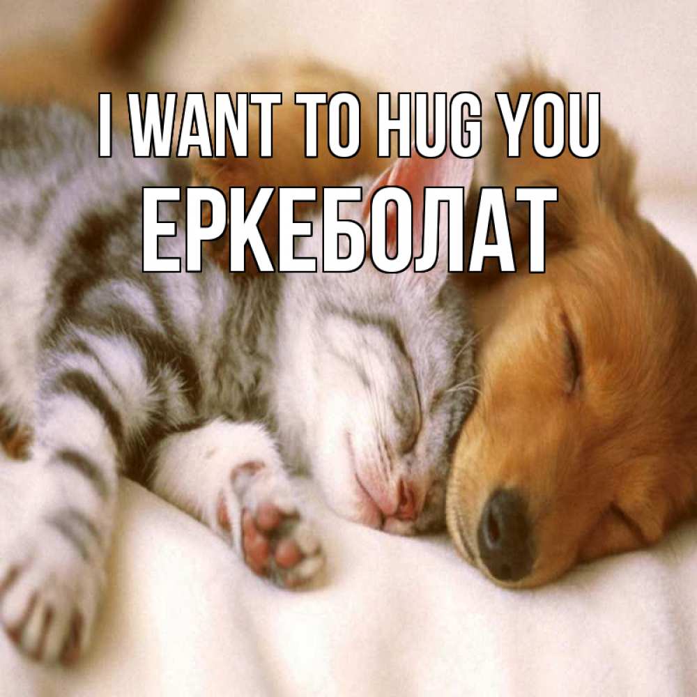 Greetings card с именем, Еркеболат I want to hug you пес и котенок Greetings with text for free download 